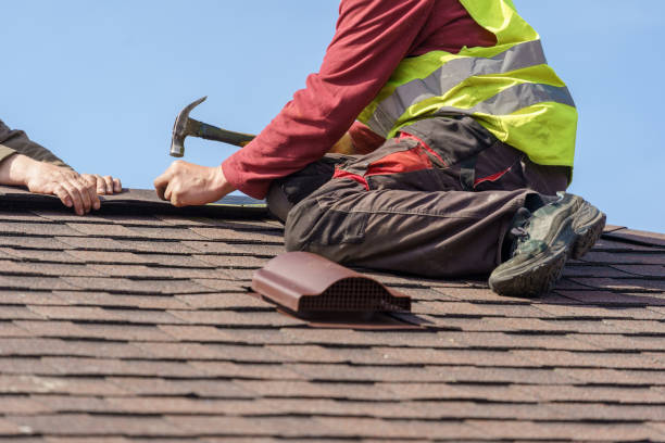 Best Roof Repair Services  in Argentine, MI