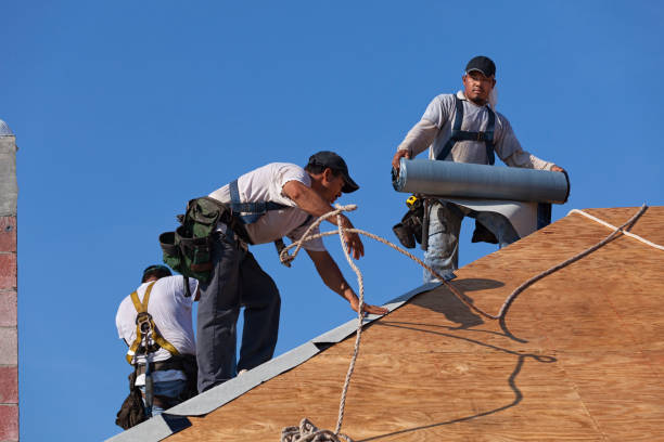 Best Metal Roofing Contractor  in Argentine, MI