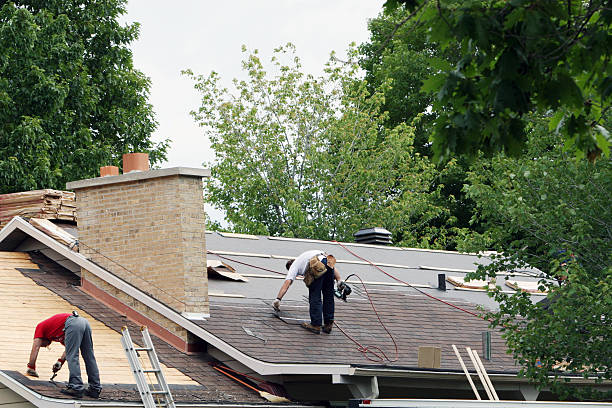Best Roof Repair Estimates  in Argentine, MI