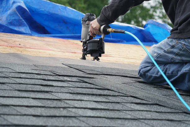 Best New Roof Installation  in Argentine, MI